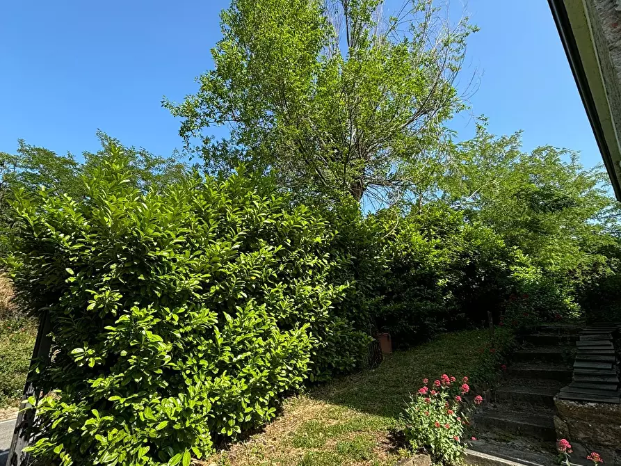 Immagine 8 di Casa indipendente in vendita  a Terenzo