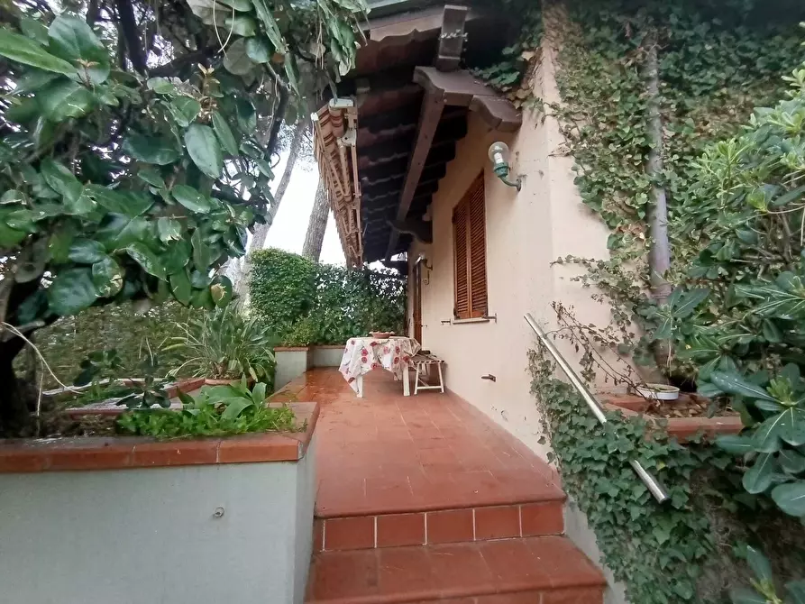 Immagine 19 di Trilocale in affitto  a Massa
