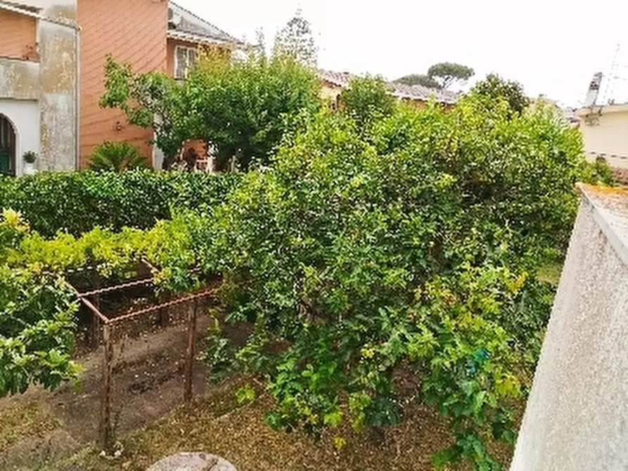 Immagine 5 di Villa in vendita  in Via Silene 30B a Anzio