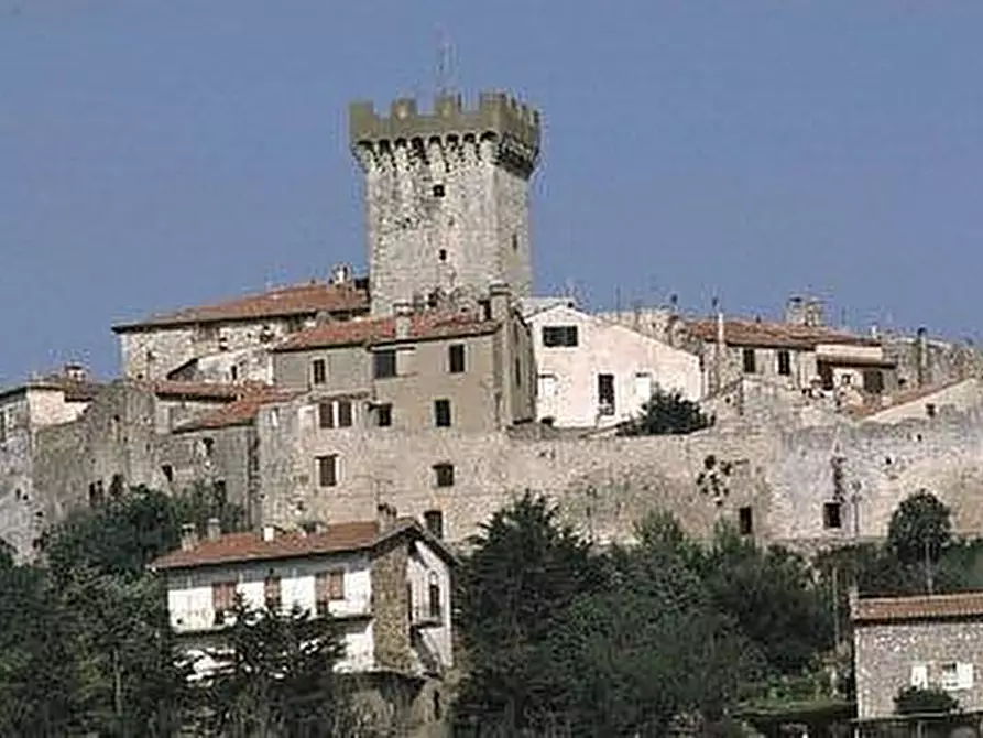 Immagine 1 di Pentalocale in vendita  in Piazza Silone Ignazio 29 a Capalbio