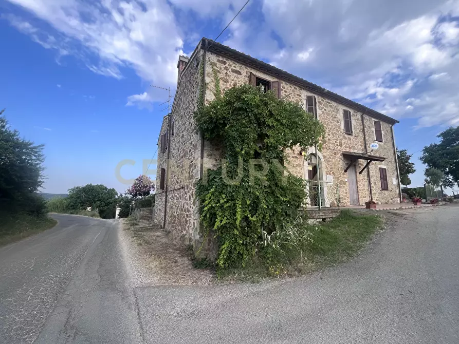 Immagine 28 di Rustico / casale in vendita  in Località Poggio Murella 280 a Manciano