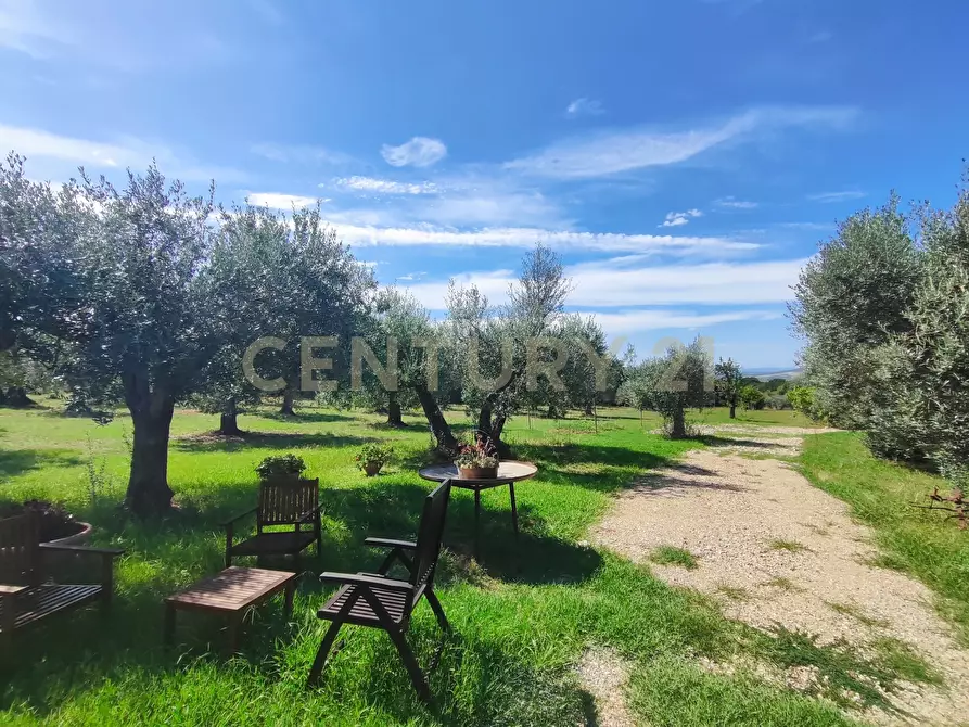 Immagine 3 di Rustico / casale in vendita  in località filare a Gavorrano