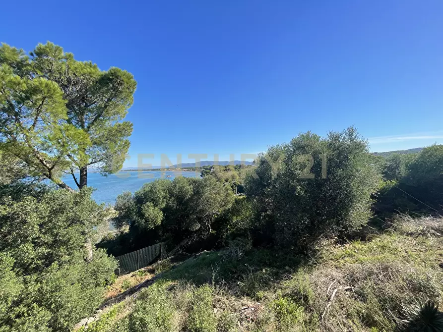 Immagine 20 di Villa in vendita  in località santa liberata a Monte Argentario