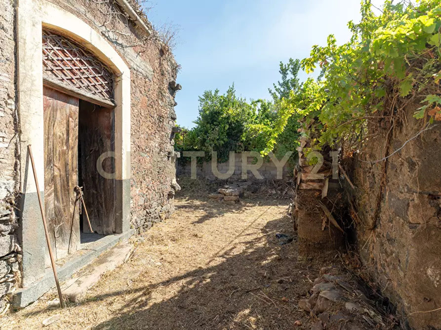 Immagine 4 di Casa indipendente in vendita  in Via Manganelli 3 a Mascalucia