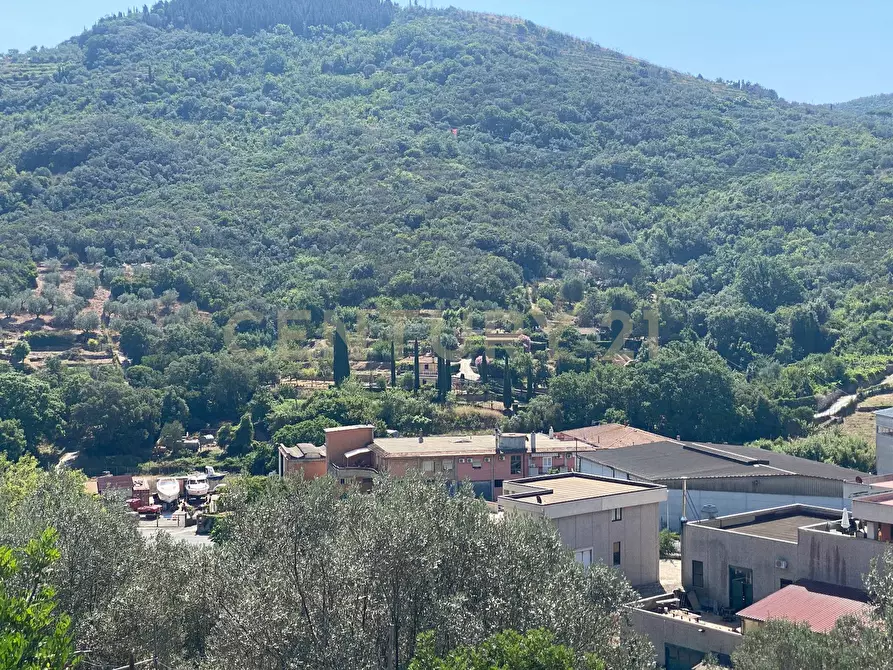 Immagine 3 di Rustico / casale in vendita  in Via del Campone 68A a Monte Argentario