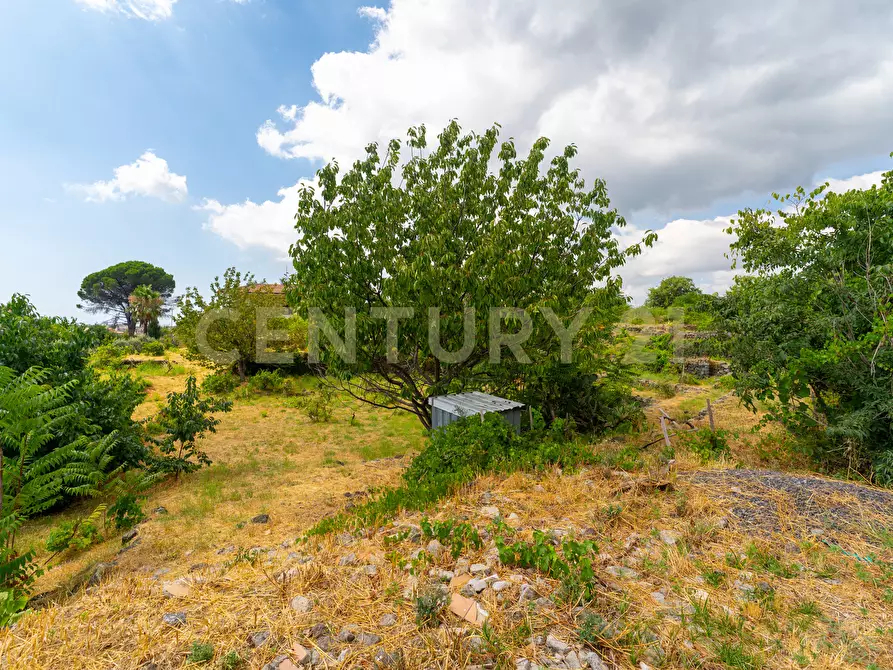 Immagine 26 di Villa in vendita  in Via Grazia Deledda 28 a Santa Venerina