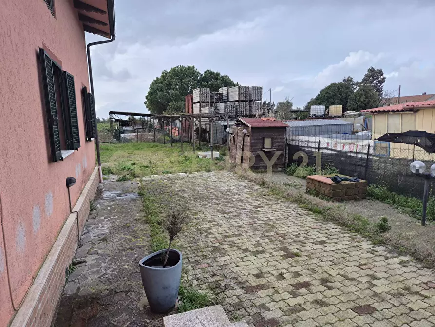 Immagine 44 di Casa indipendente in vendita  in Strada Casal Roberto 37 a Grosseto