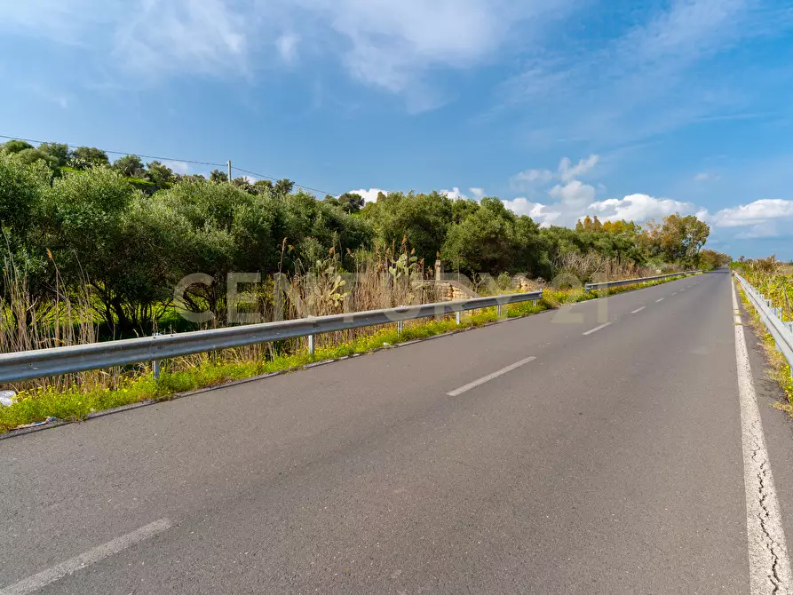 Immagine 35 di Terreno agricolo in vendita  in Contrada Vaccarizzo a Catania