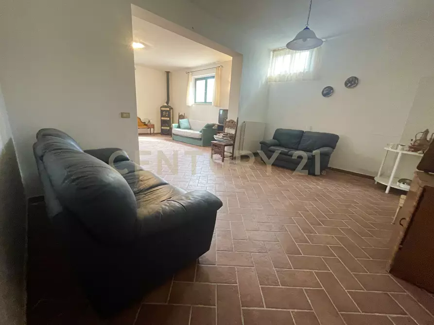 Immagine 28 di Azienda agricola in vendita  in località colle di lupo a Magliano In Toscana