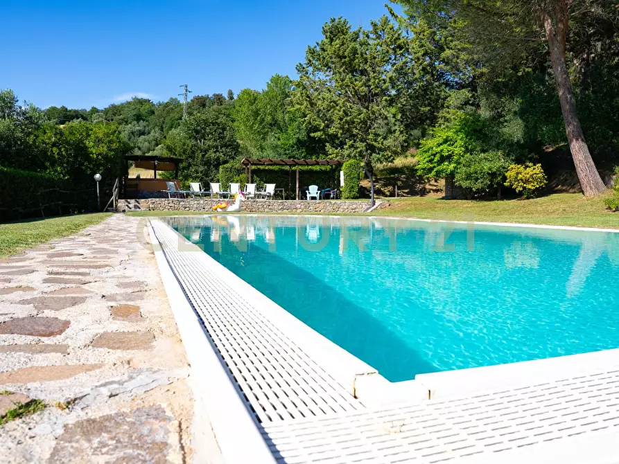 Immagine 89 di Rustico / casale in vendita  a Cinigiano