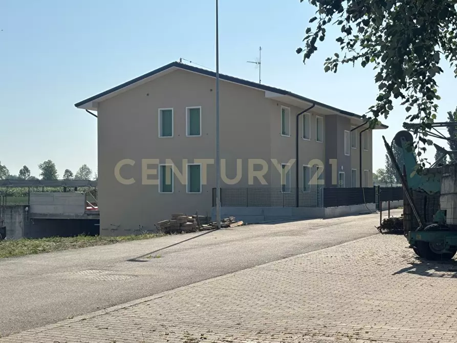 Immagine 28 di Trilocale in vendita  in Via Toffanelle Nuove a Zevio