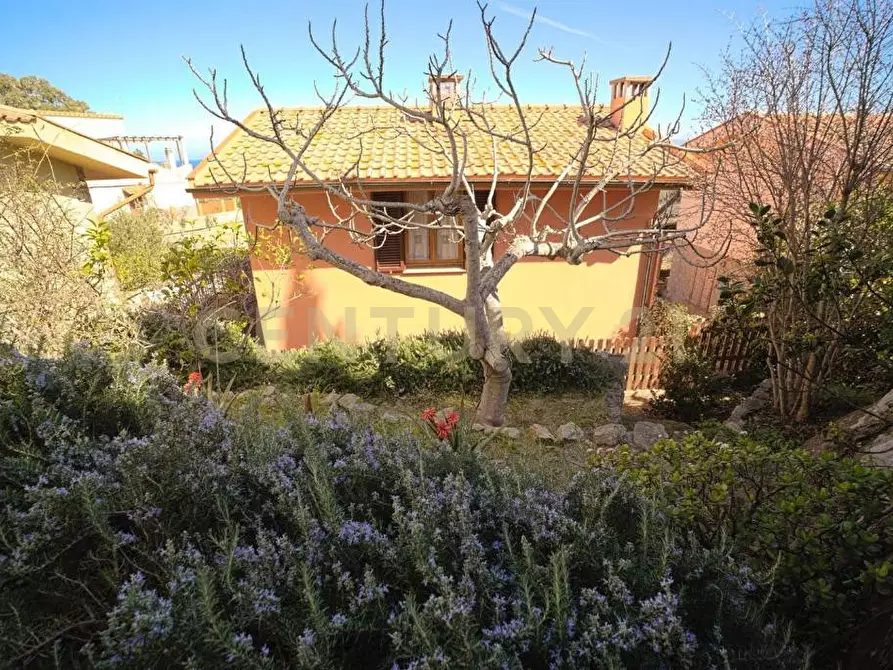 Immagine 18 di Quadrilocale in vendita  in Via dell'Arenella a Isola Del Giglio