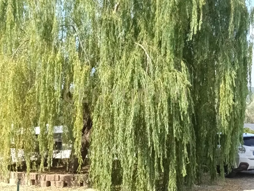 Immagine 44 di Rustico / casale in vendita  in località Sant'Andrea 17 a Gavorrano