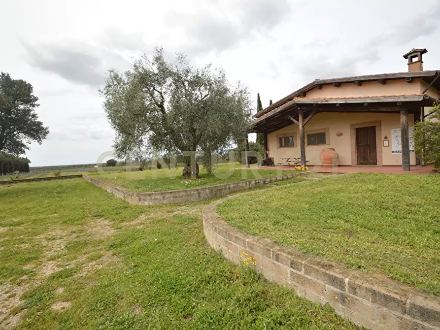 Immagine 29 di Rustico / casale in vendita  a Grosseto