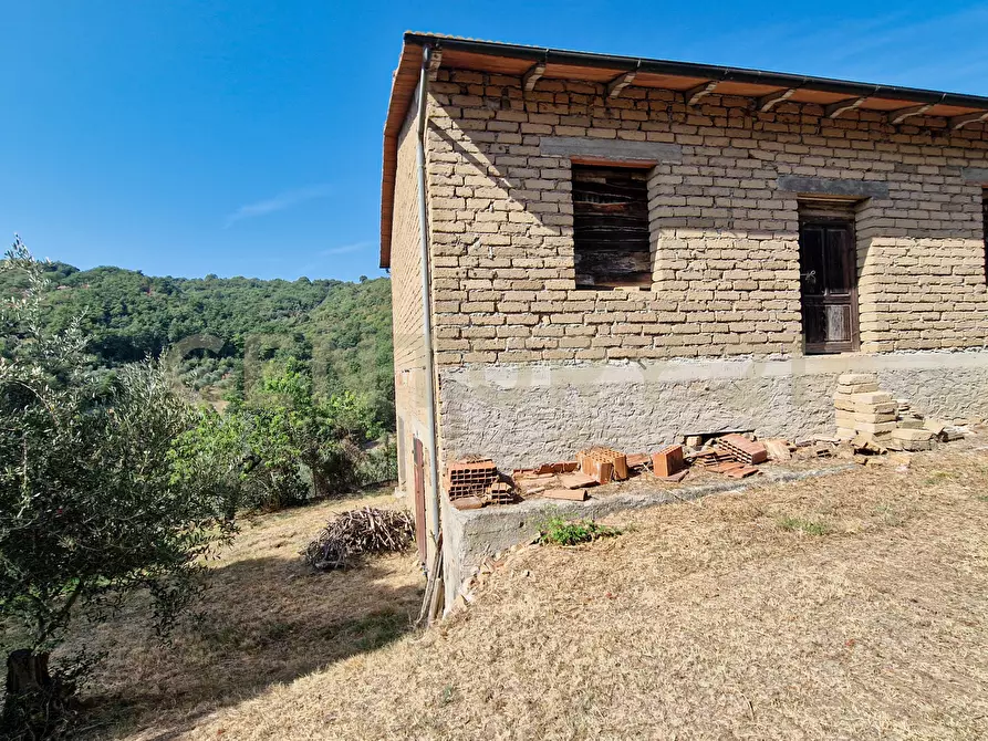Immagine 19 di Rustico / casale in vendita  in Strada Provinciale Voltina 12 a Cinigiano