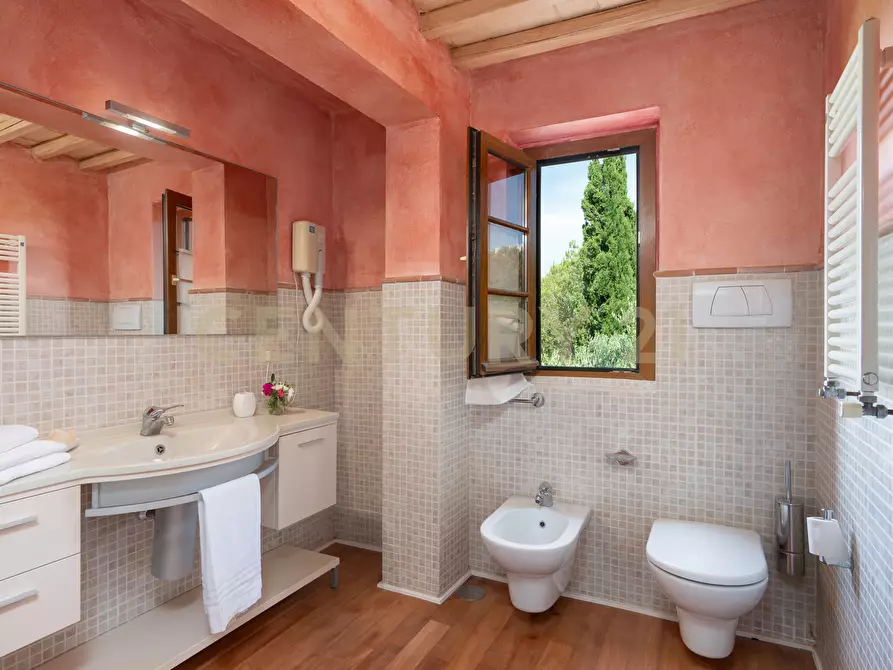 Immagine 53 di Villa in vendita  in Strada di Monte Bottigli a Grosseto