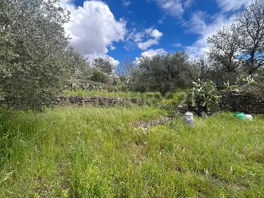 Immagine 23 di Terreno edificabile in vendita  in Viale Giovanni Falcone 9 a Camporotondo Etneo