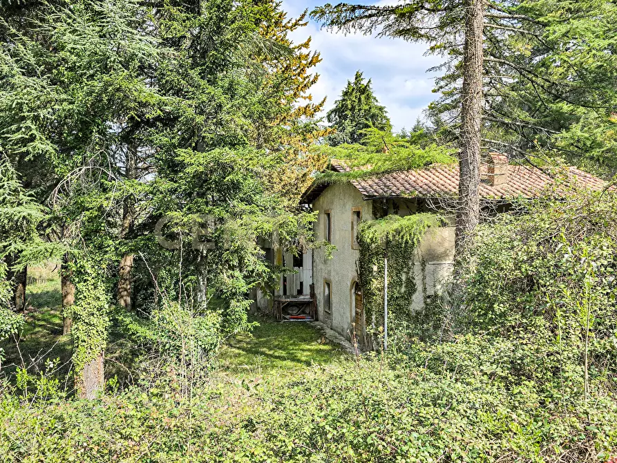 Immagine 14 di Rustico / casale in vendita  in Strada Provinciale 7 a Cinigiano