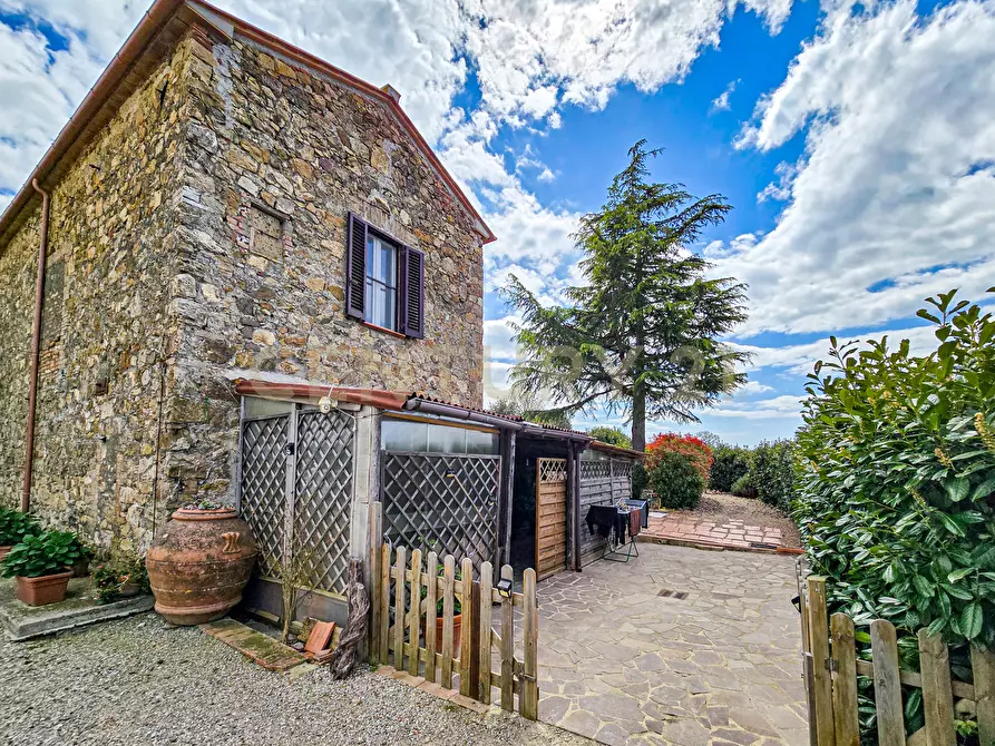 Immagine 6 di Rustico / casale in vendita  in podere poderina 5 a Civitella Paganico