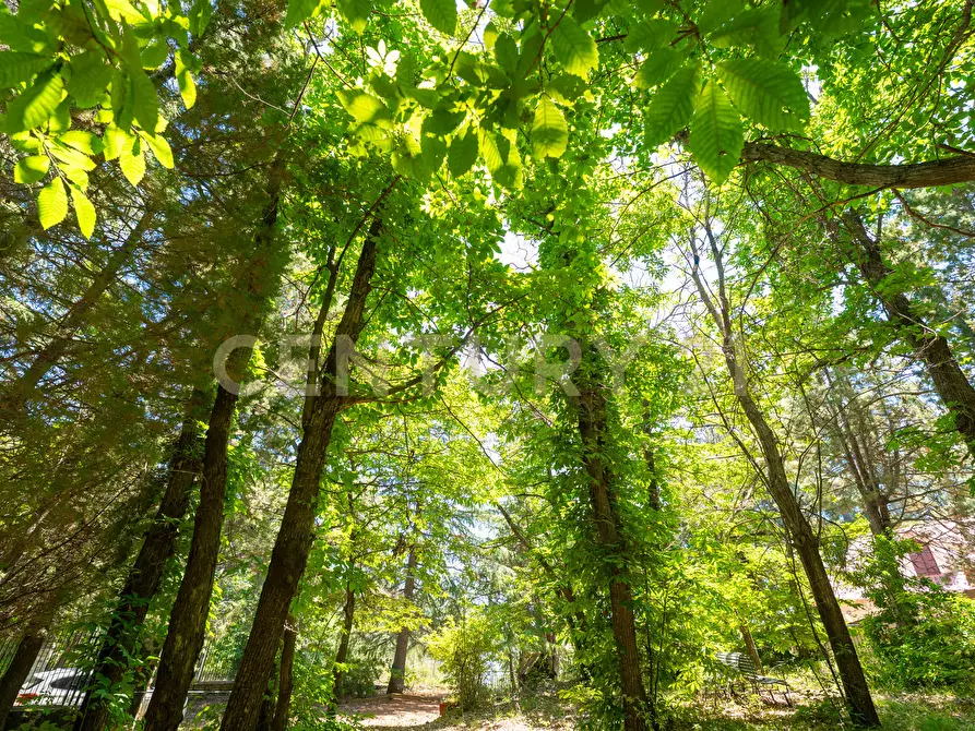 Immagine 9 di Villa in affitto  in Strada Regionale Mareneve SNC a Linguaglossa