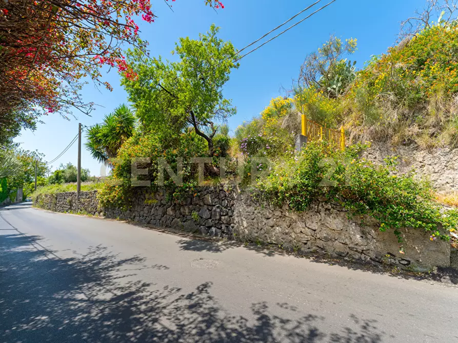 Immagine 7 di Terreno agricolo in vendita  in Via Vampolieri 14 a Aci Castello