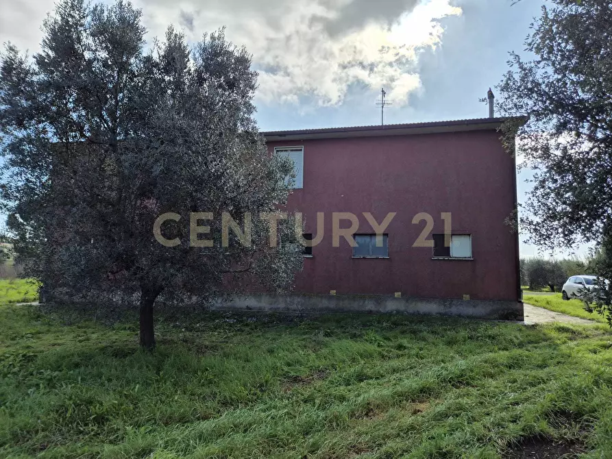 Immagine 5 di Rustico / casale in vendita  in Via Luciano Raveggi 6 a Orbetello
