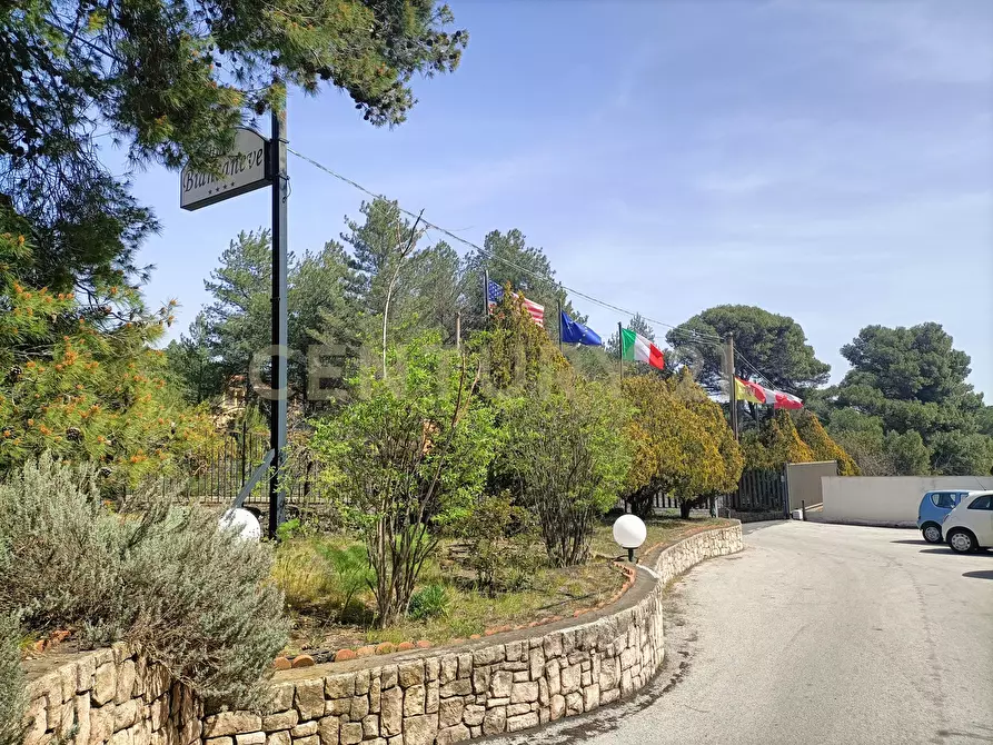 Immagine 47 di Albergo/B&B/Residence in vendita  in Via Etnea 163 a Nicolosi