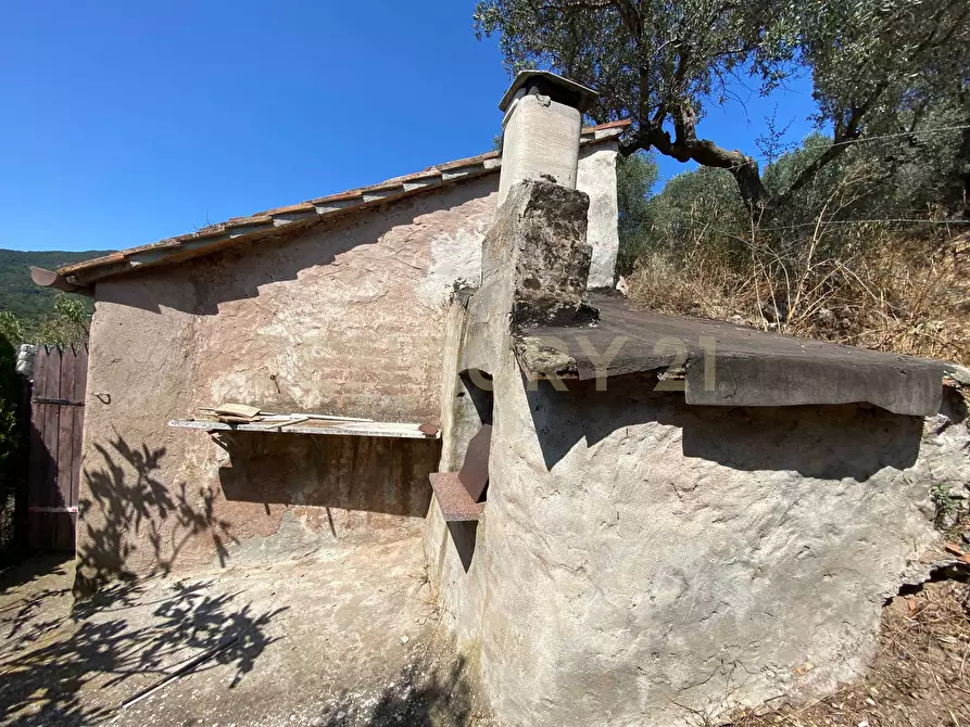 Immagine 11 di Rustico / casale in vendita  in Via del Campone 68A a Monte Argentario