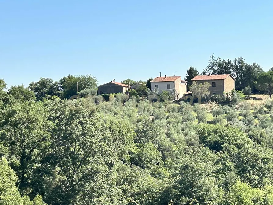 Immagine 2 di Rustico / casale in vendita  in Strada Provinciale Voltina 12 a Cinigiano