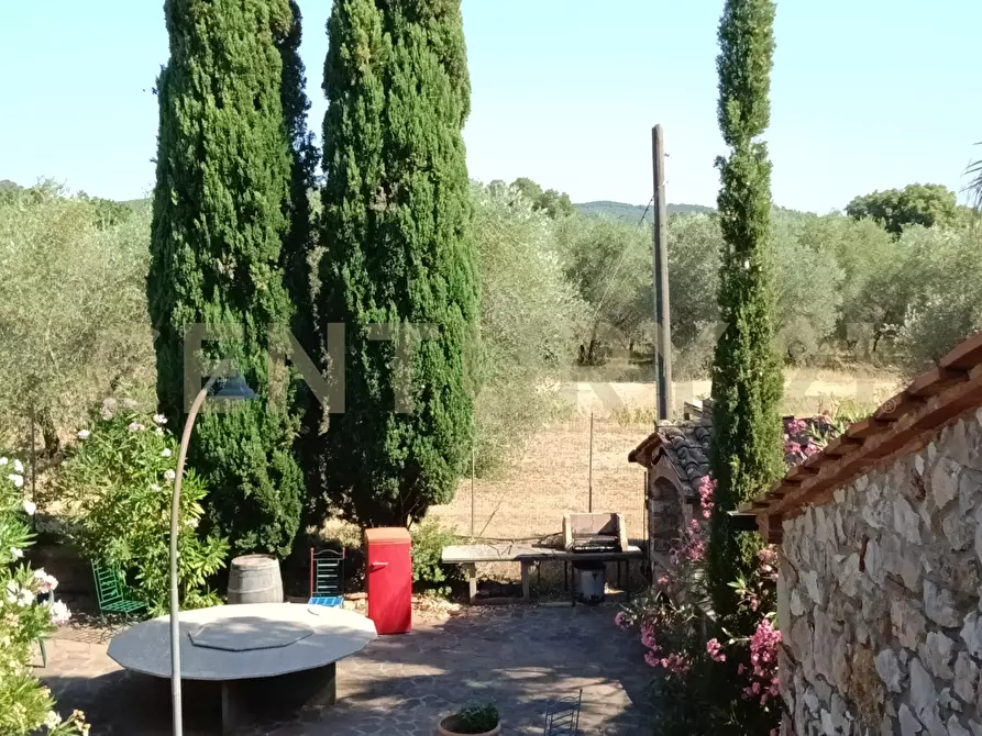 Immagine 26 di Rustico / casale in vendita  in Località Podere di Mezzo 16 16 a Gavorrano