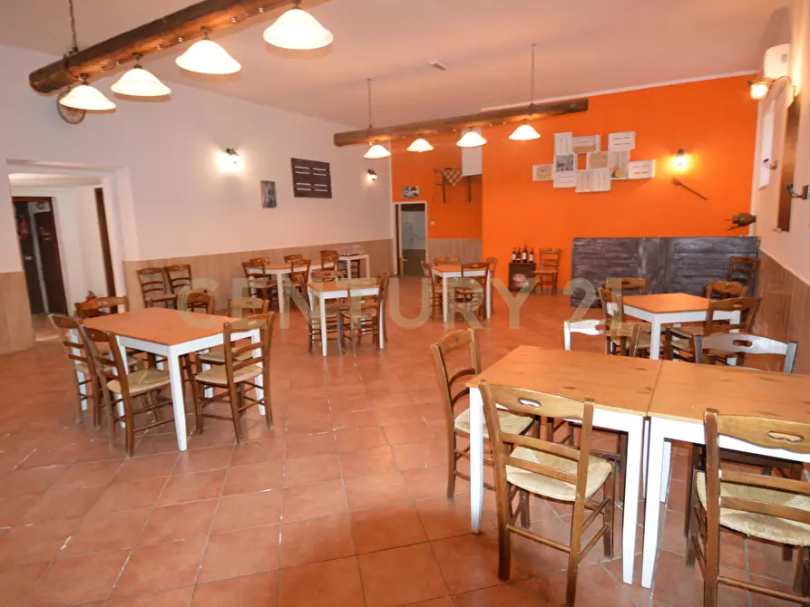 Immagine 14 di Attività artigianale in vendita  a Campagnatico