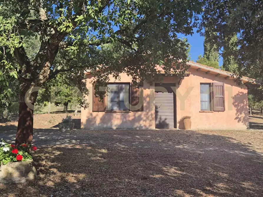 Immagine 5 di Azienda agricola in vendita  in località poggio al capraio snc a Roccastrada