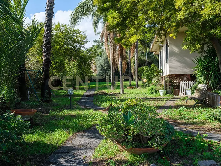 Immagine 7 di Villa in vendita  a Catania