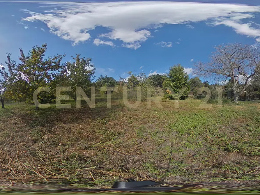 Immagine 61 di Villa in vendita  in Contrada Scolaro Cisterna a Adrano