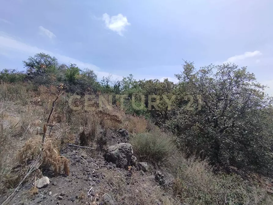 Immagine 11 di Terreno agricolo in vendita  in CONTRADA MANGIONE snc a Catania