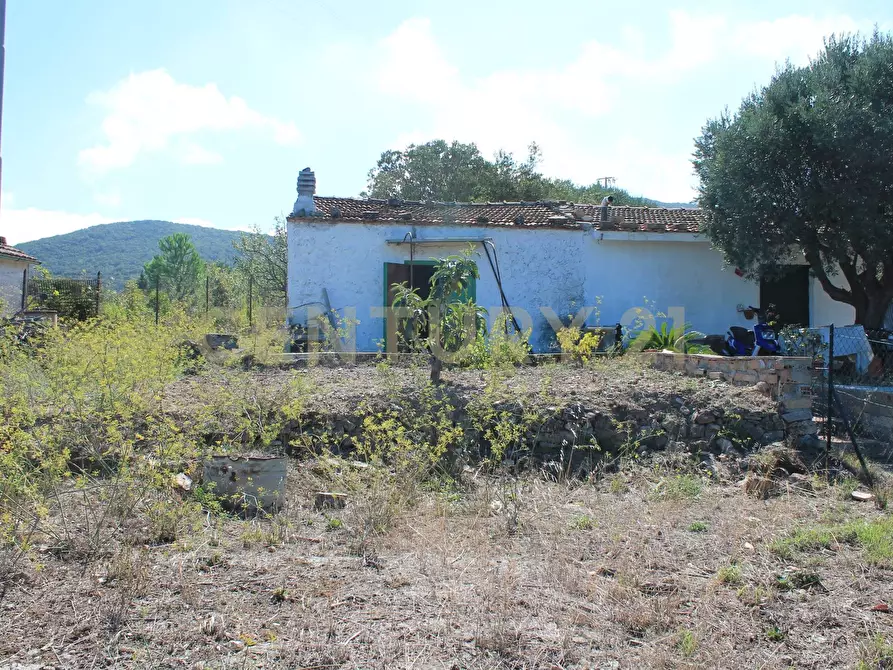 Immagine 3 di Rustico / casale in vendita  in via cannatelli 56 a Monte Argentario