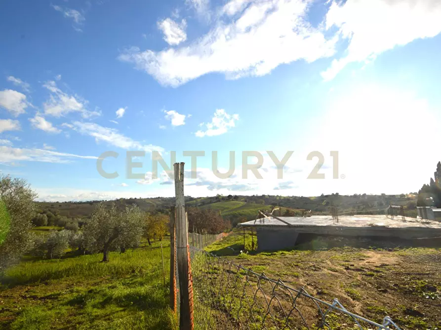 Immagine 29 di Villa in vendita  a Magliano In Toscana