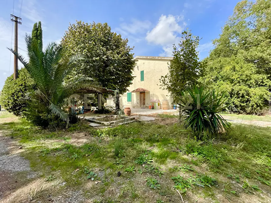 Immagine 13 di Rustico / casale in vendita  in località quarto albegna snc a Manciano