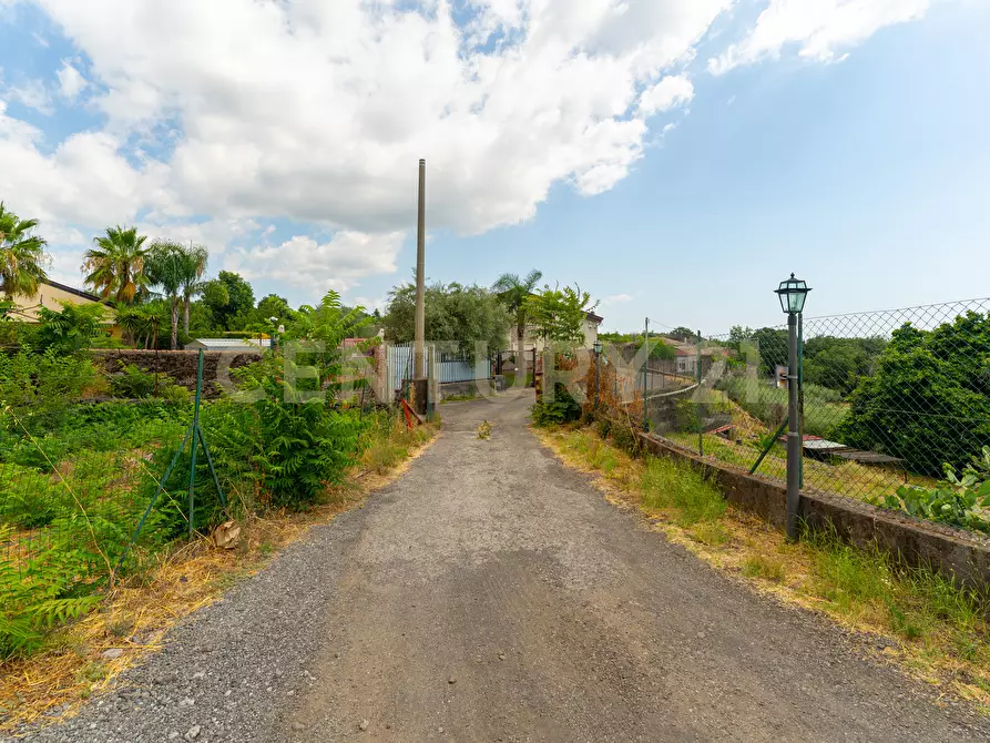 Immagine 4 di Villa in vendita  in Via Grazia Deledda 28 a Santa Venerina