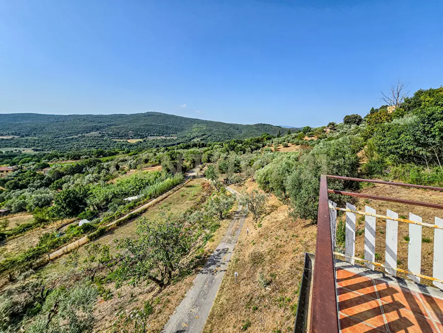 Immagine 19 di Rustico / casale in vendita  in Località Granchiaia snc a Massa Marittima