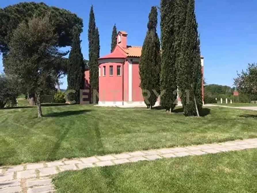 Immagine 14 di Azienda agricola in vendita  in Strada della Sgrilla 16/a a Capalbio