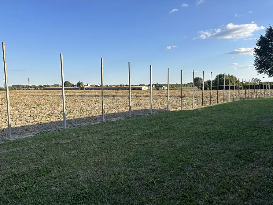 Immagine 64 di Rustico / casale in vendita  in Via Trento 70 a Minerbe