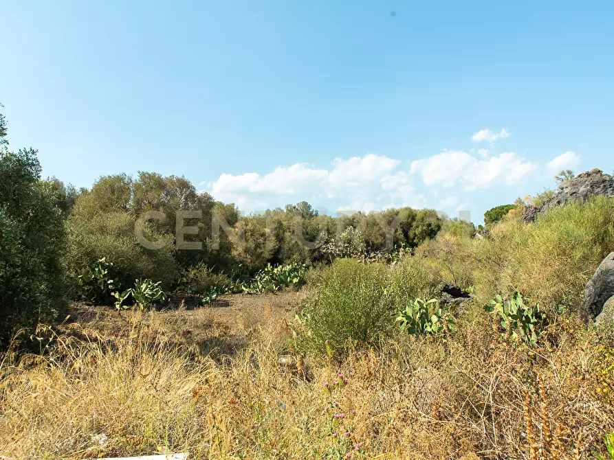 Immagine 2 di Terreno edificabile in vendita  in CONTRA FURERIA snc a Belpasso
