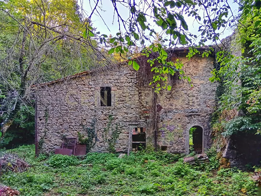Immagine 1 di Rustico / casale in vendita  in Via dell'Eremo 1 a Castiglione D'orcia