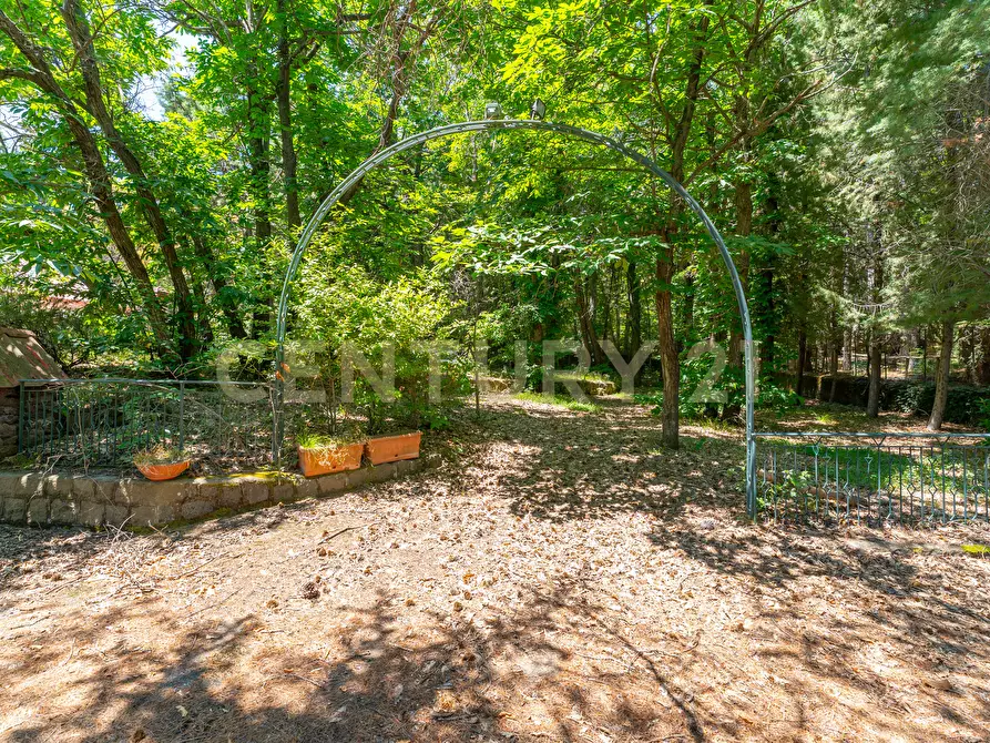 Immagine 6 di Villa in affitto  in Strada Regionale Mareneve SNC a Linguaglossa