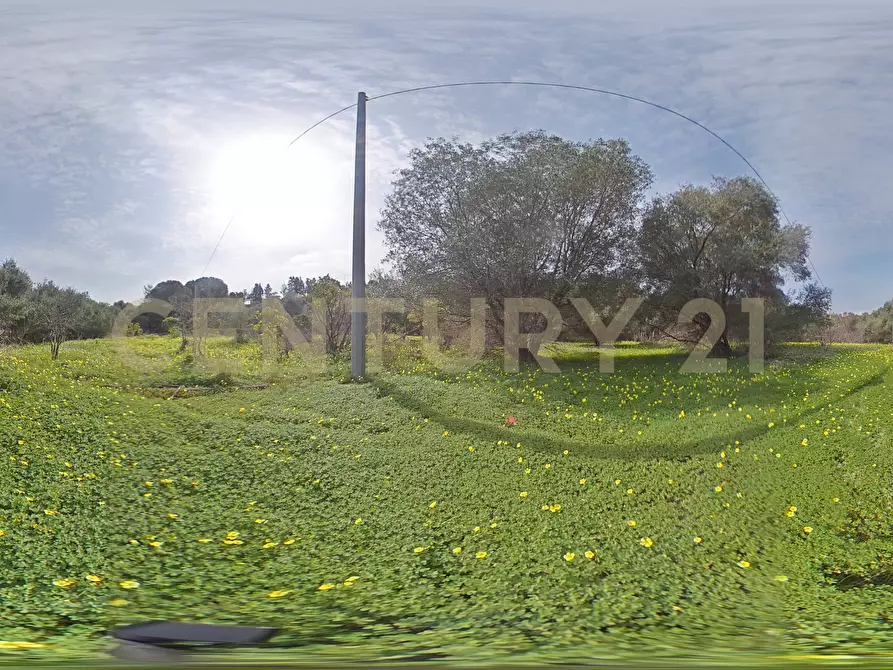 Immagine 40 di Terreno agricolo in vendita  in Contrada Vaccarizzo a Catania