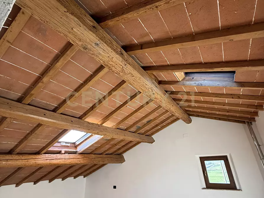 Immagine 42 di Pentalocale in vendita  in Strada della Principina 2 a Grosseto