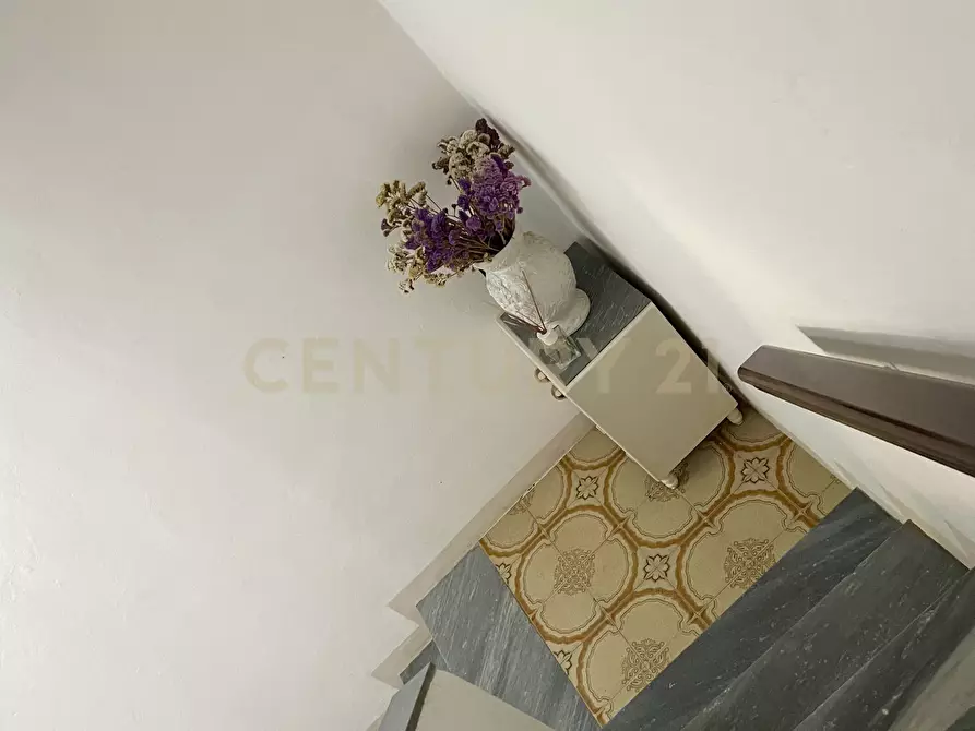 Immagine 19 di Attico in vendita  a Magliano In Toscana