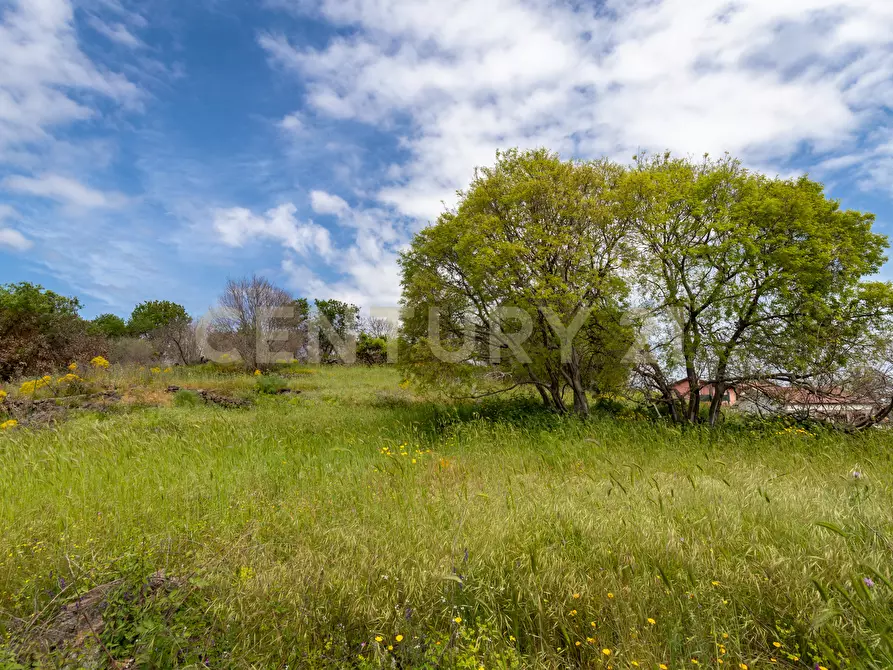Immagine 16 di Terreno industriale in vendita  in Via dei Belfiore 4 a Valverde