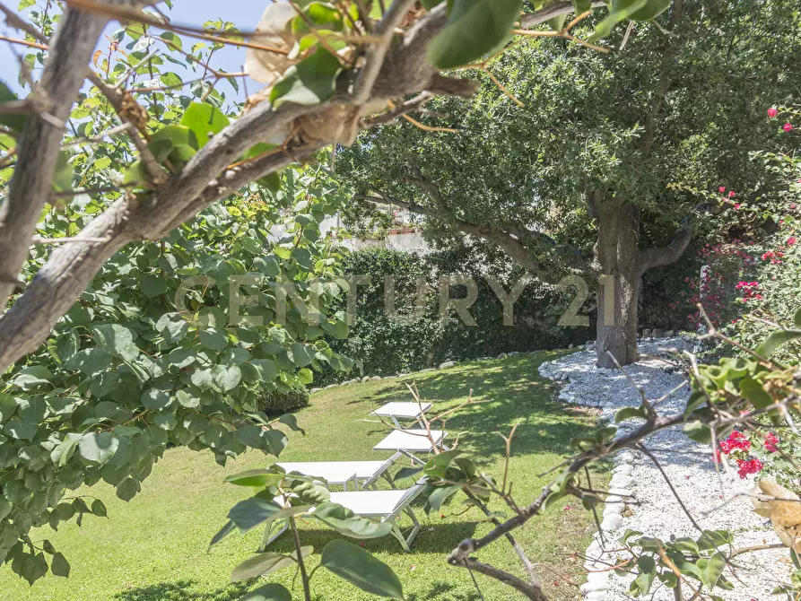 Immagine 23 di Villa in vendita  in Via Staglio 23 a Ponza